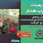 پاورپوینت حس و حرکت – فصل 5 علوم پایه هشتم
