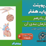 پاورپوینت یاخته و سازمان بندی آن – فصل 11 علوم پایه هفتم