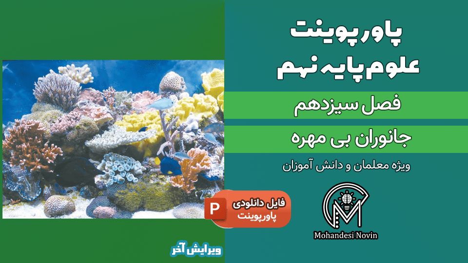 پاورپوینت جانوران بی مهره – فصل 13 علوم پایه نهم